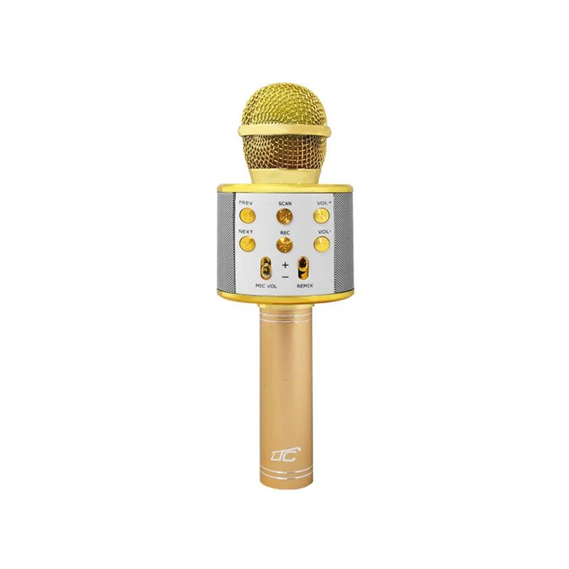 Bluetooth Mikrofon mit LTC MIC100 Lautsprecher Gold