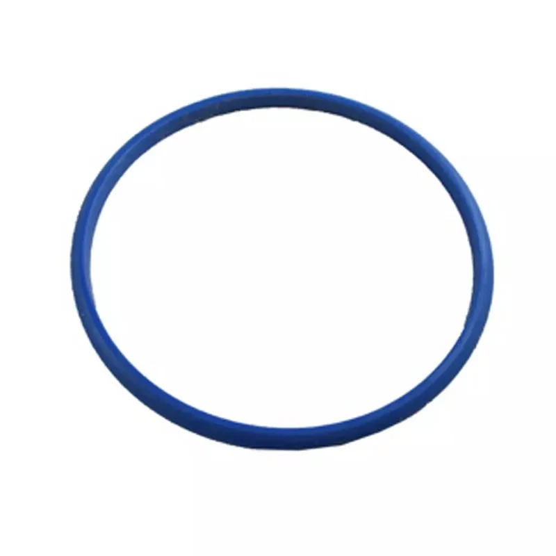 Taurus Dichtungsring Staubsaugerfilter Ultimate Digital 09605900