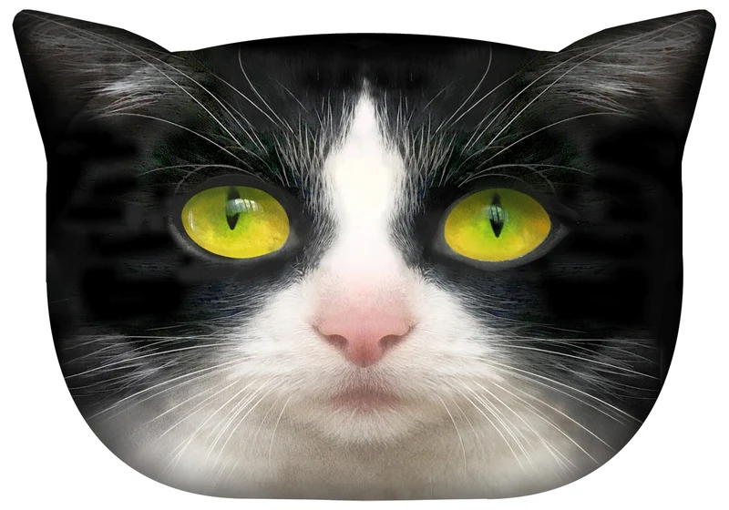 Designer Kissen mit Katzen-Motiv Katzenkissen Dekokissen Zierkissen mit verdecktem Reißverschluss und Füllkissen Panda
