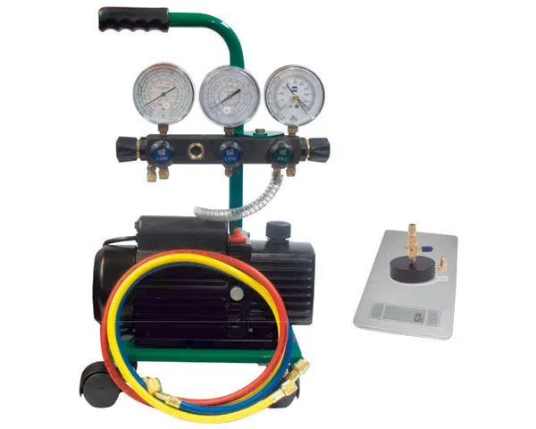 LADESTATION R600A STE-600-80V