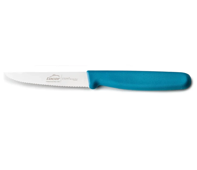 LACOR Steakmesser Etern Ocean 39227