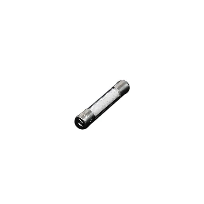 Electrolux Mikrowellensicherung 4071373072
